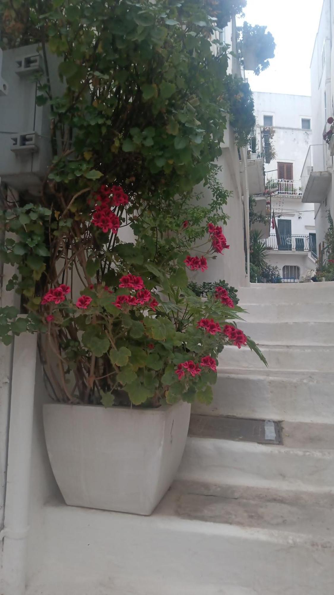 Hotel La Chicca Di C.Cavour Ostuni Exterior foto